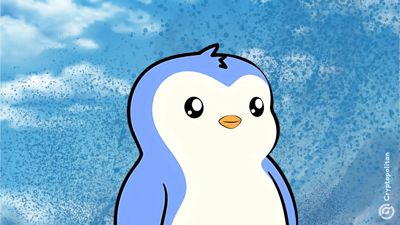 PENGU起飞：Coinbase头像引发模因币狂热